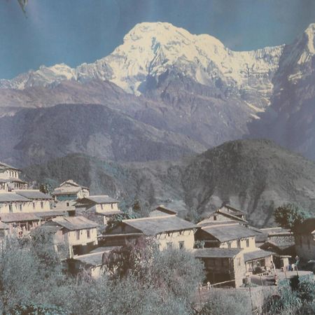 Mount Annapurna Guest House Katmandou Extérieur photo